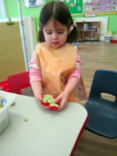 pre-school-gallery13